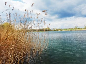 Scenic view of lake against sky