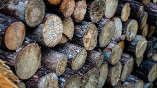 Full frame shot of firewood