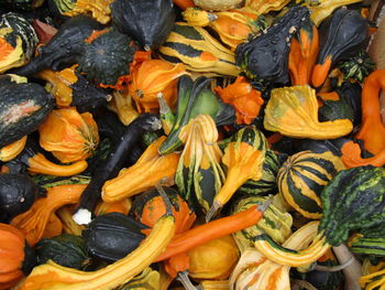 Full frame shot of pumpkins at market