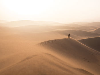 Rear view of man standing on sand dune against clear sky