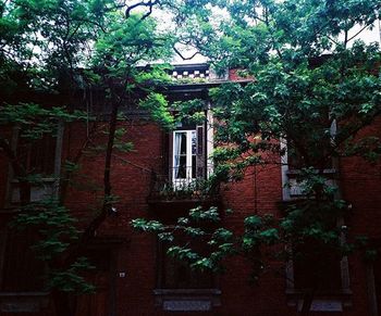 Plants growing by building