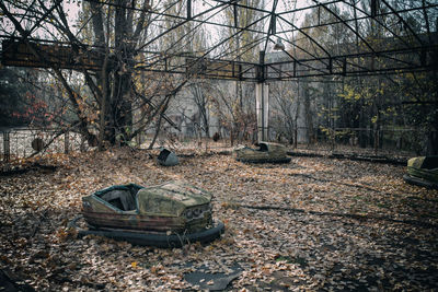 Abandoned car by bare trees in forest