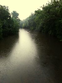 Scenic view of river in forest against sky