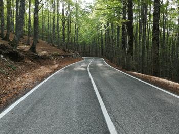 Empty road along trees in forest