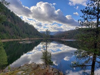 Scenic view of lake by trees against sky