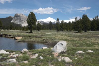 Scenic view of trees and mountains against sky