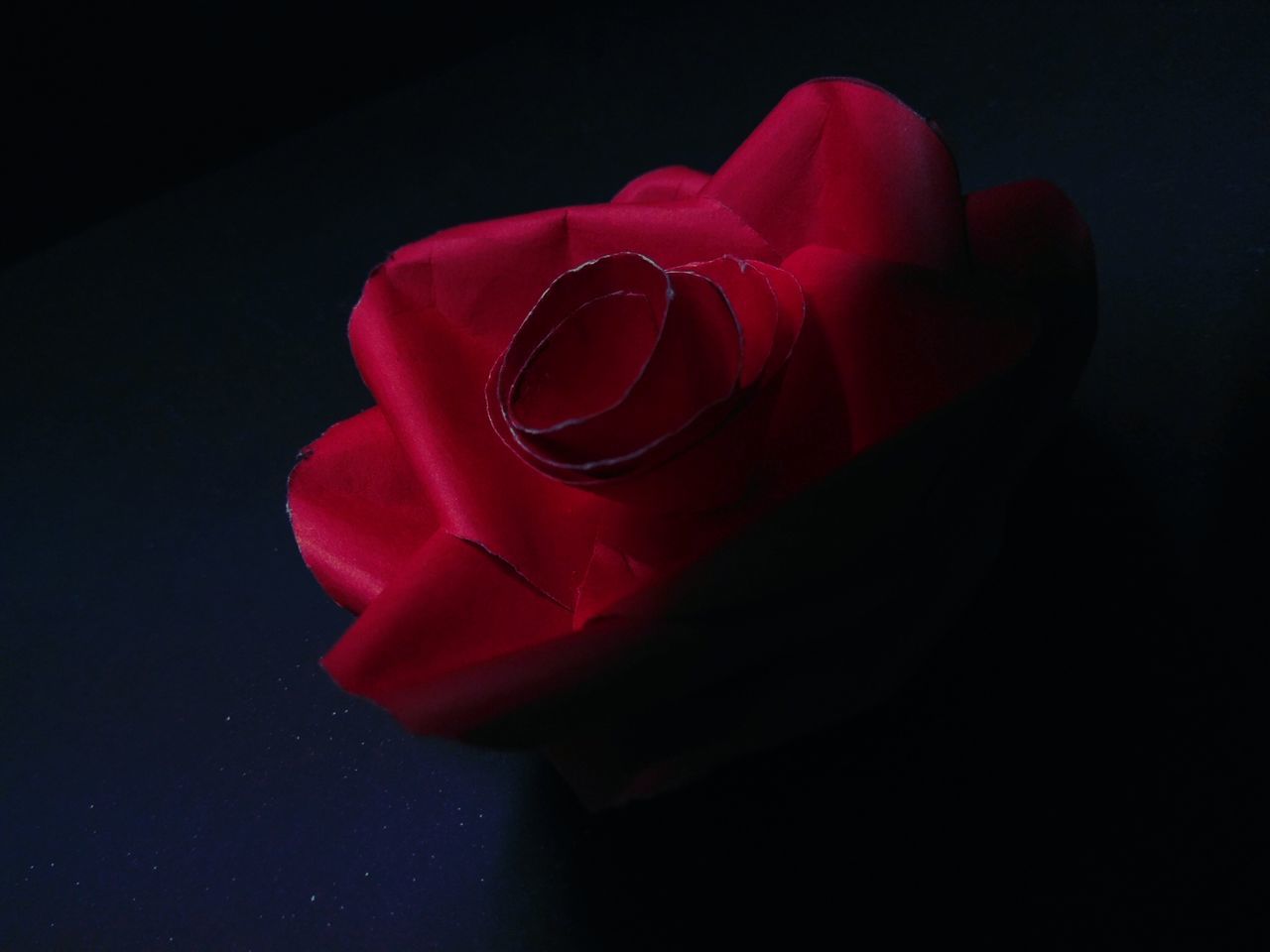 CLOSE-UP OF RED ROSE