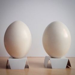 Close-up of eggs in plate on table