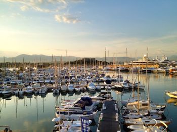 Sailboats moored in harbor at sunset