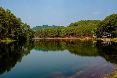 Scenic view of lake by trees against sky