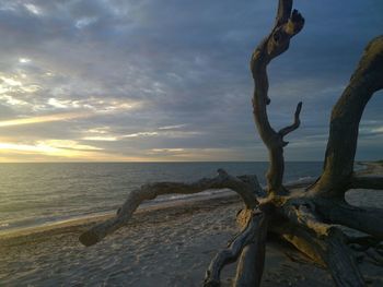 Scenic view of sea at sunset