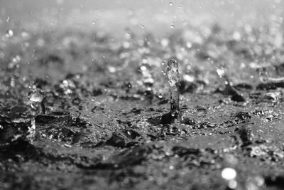 Close-up of water drops on leaf