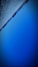 Low angle view of trees against clear blue sky