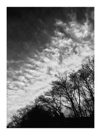 Low angle view of bare tree against sky