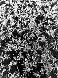 High angle view of christmas tree in snow