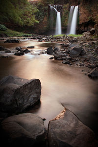 View of waterfall in forest