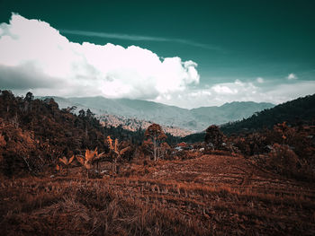 Scenic view of field against sky