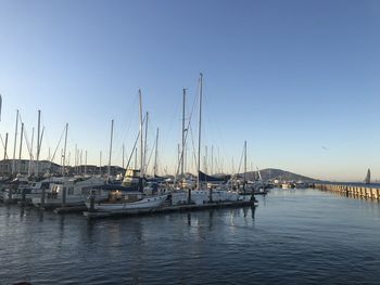 Sailboats moored in harbor