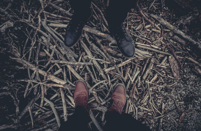 Low section of people standing on sticks