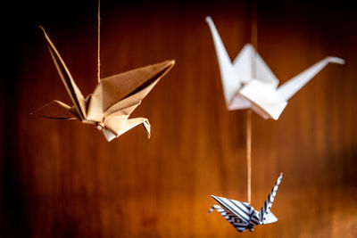 Deep bokeh of three origami swans hanging from the roof with a wooden background