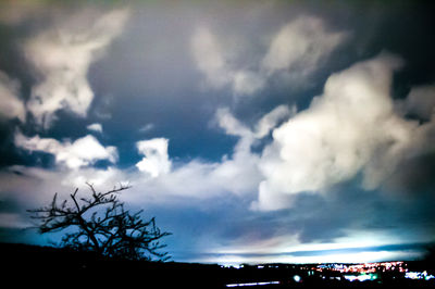 Low angle view of silhouette trees against sky