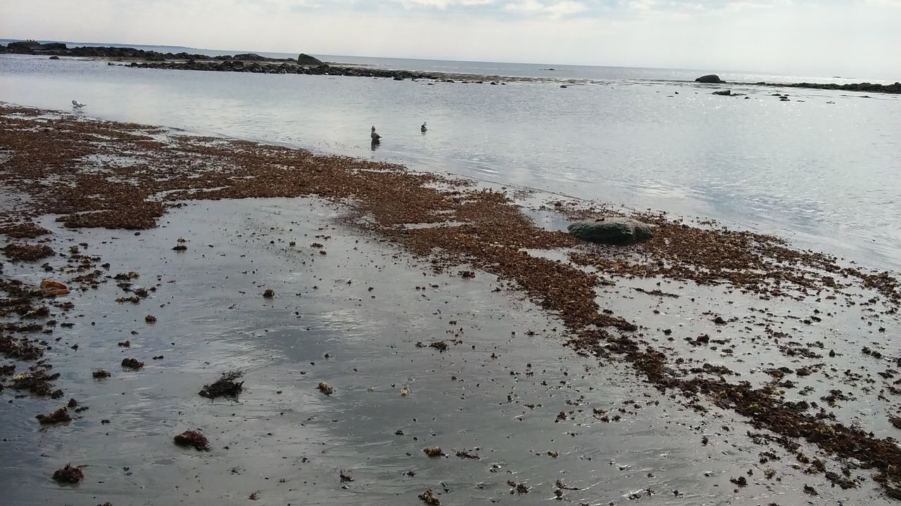 SCENIC VIEW OF SEA SHORE