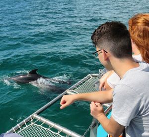 People looking at dolphin while in boat on sea