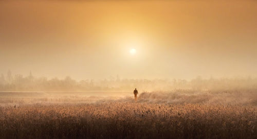 Man walking on field against sky during foggy weather