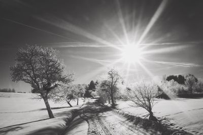 Snow covered street amidst trees on sunny day during winter