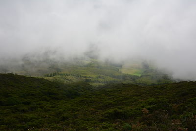 Scenic view of landscape against sky