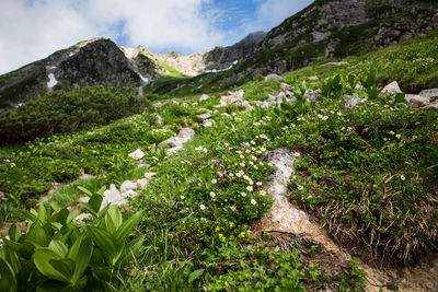 Scenic view of mountains against sky