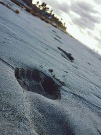 High angle view of footprints on sand