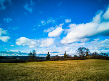 Scenic view of field against sky