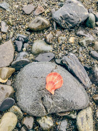 High angle view of stones on beach