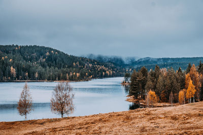 Trees by lake against sky during winter