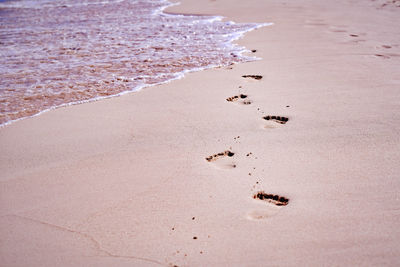 High angle view of footprints on sand at beach