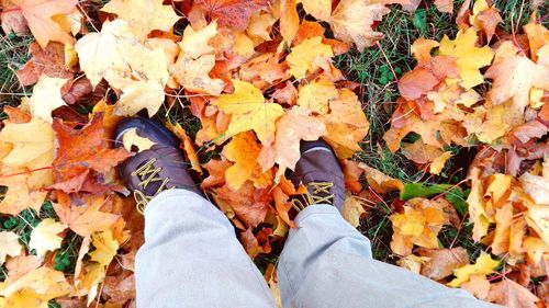 Low section of woman standing on autumn leaves