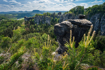 Plants growing on rocks against sky