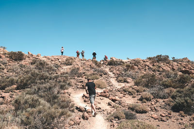 Rear view of people walking on road against clear sky