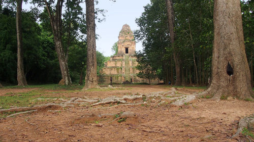 View of a temple