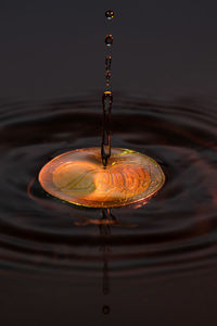 Close-up of drop falling on water