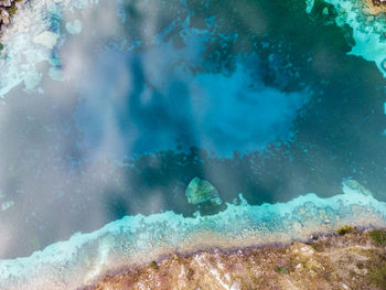 Close-up of jellyfish swimming in sea