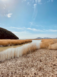 Scenic view of wetlands  against sky