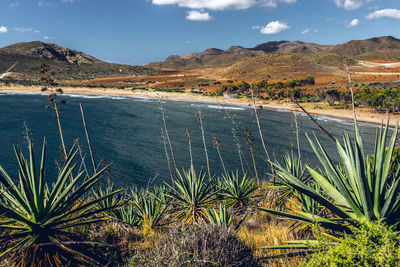 Scenic view of land and mountains against sky