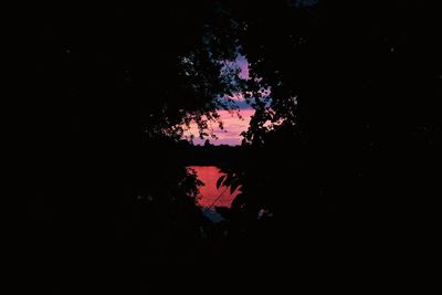 Low angle view of silhouette trees against sky at night