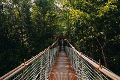 Close-up of bridge in forest