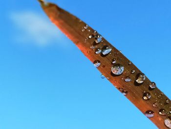 Low angle view of crane against clear blue sky