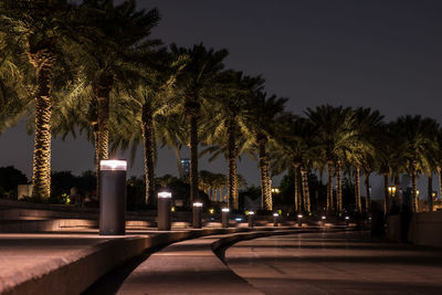 Street amidst trees against sky at night