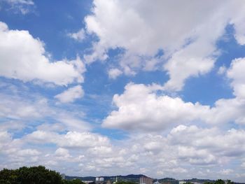 Low angle view of trees against sky