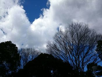 Low angle view of silhouette trees against sky